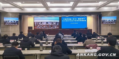 市政府党组深化理论学习 聚焦生态保护与价值转化，科技赋能教育实践