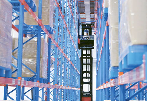 以高水平开放拥抱未来 编程猫温州学习中心的创新实践